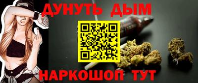 СК Гатчина