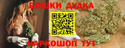 хмурый Гай