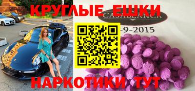 СК Гатчина