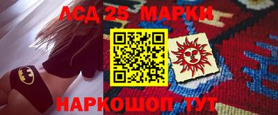 СК Гатчина
