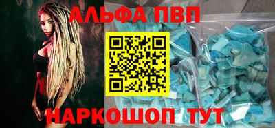 СК Гатчина